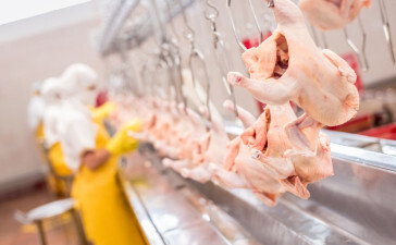 Em 16 dias úteis, volume e arrecadação da carne de frango exportadas superam os 60%
