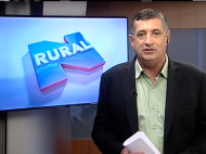 Setor de carnes aprova liberação da importação de milho dos EUA; veja repercussão - Canal Rural