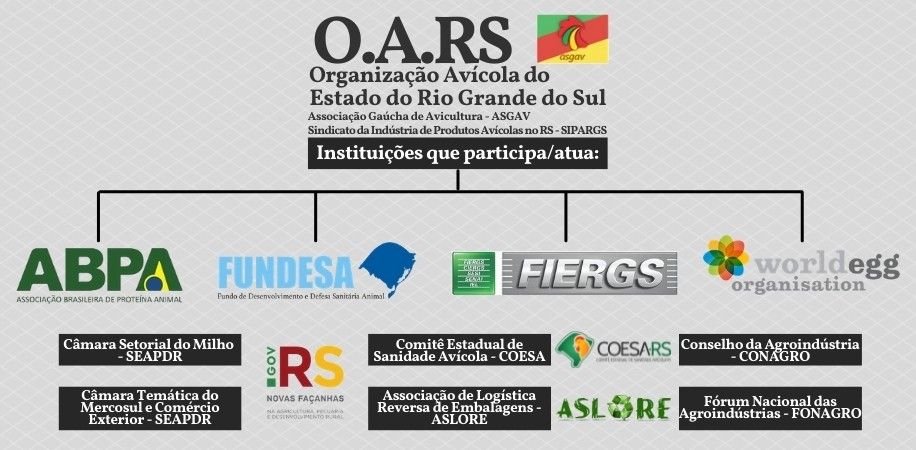 O.A.RS e instituições que participa/atua
